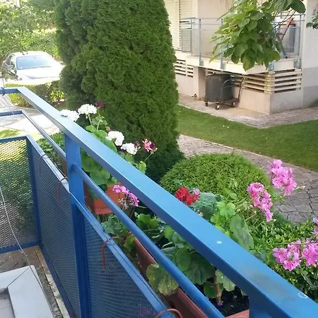 комплекс елит 1